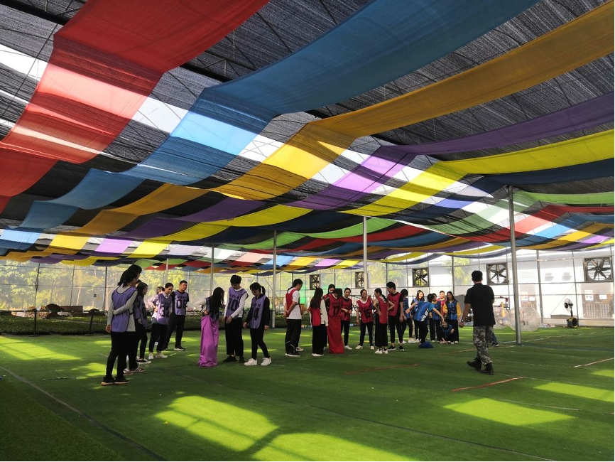 会计师事务所,税务师事务所,资产评估事务所,房地产估价事务所