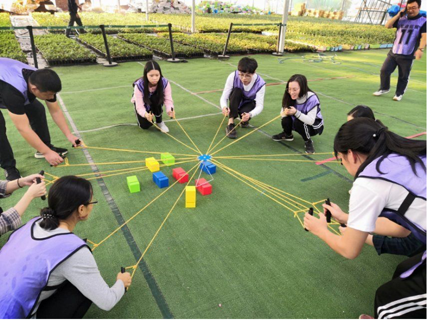 会计师事务所,税务师事务所,资产评估事务所,房地产估价事务所